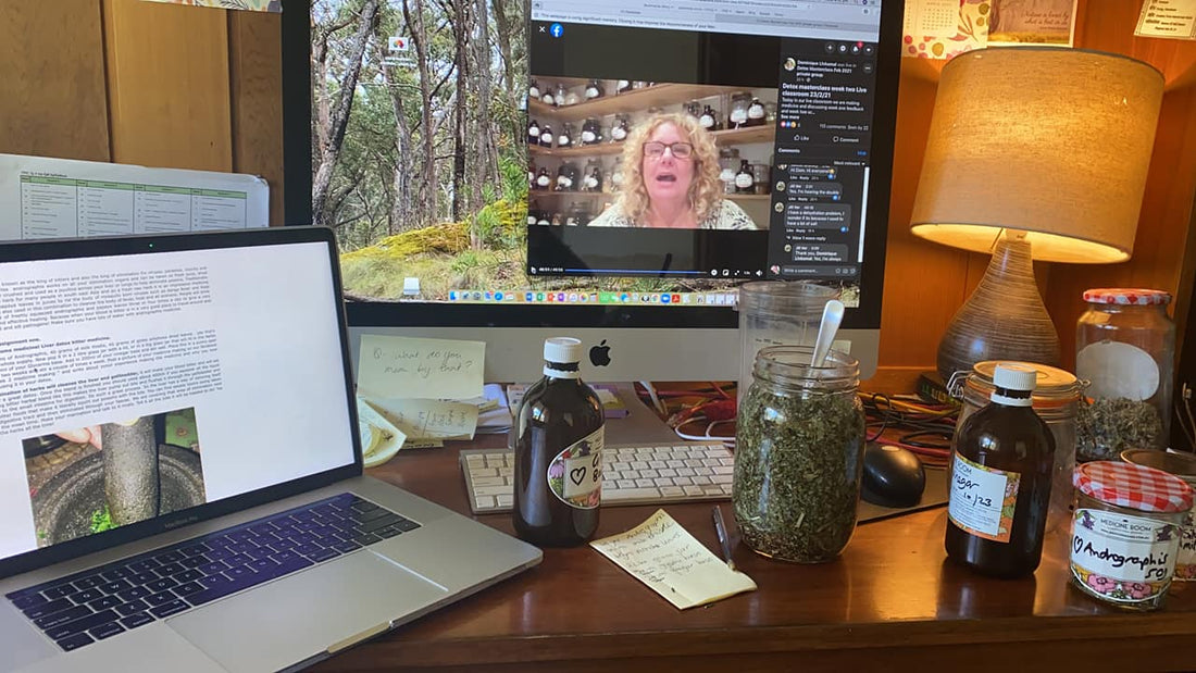 Detox masterclass half way point fun update for you!