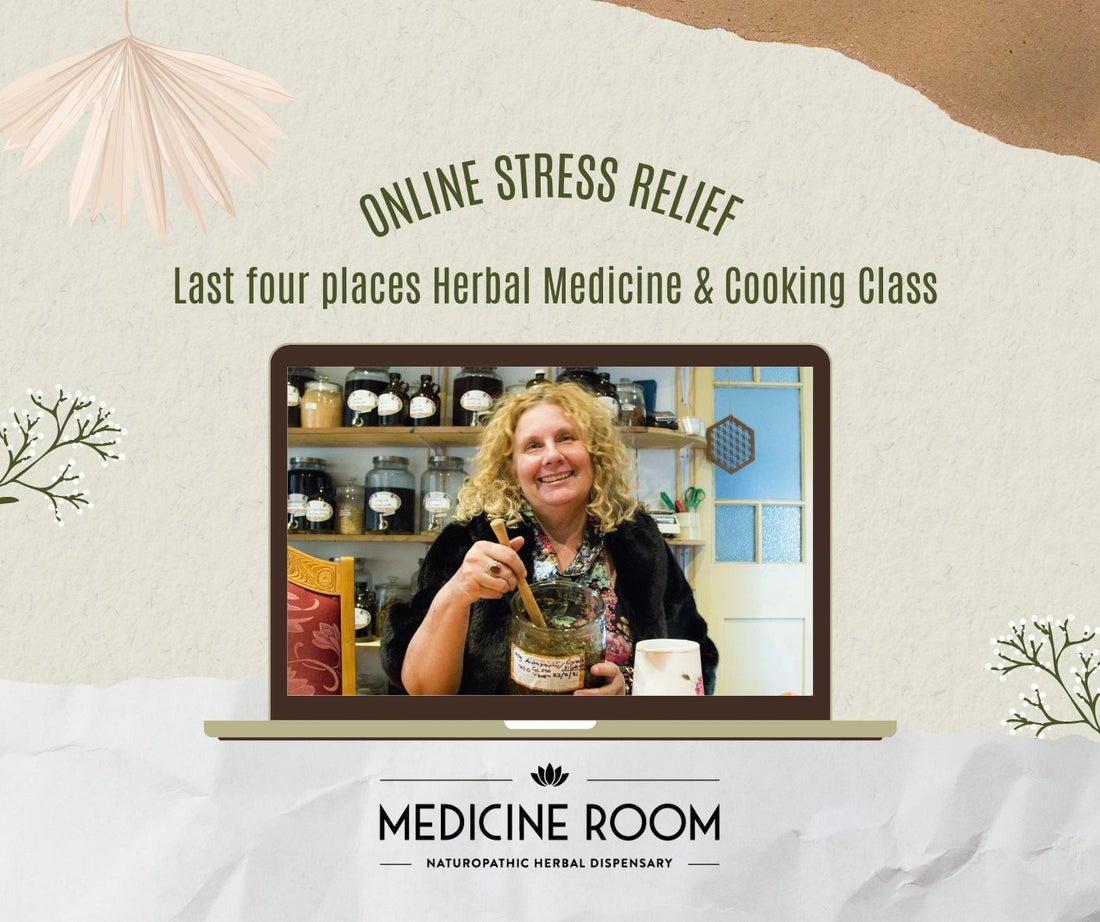 Herbal Medicine Conference with NIMH this weekend. Want to join me?