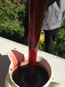 Herbal Honey anyone?? delicious