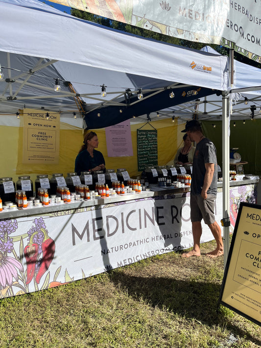Weekend of healing and wellness . PranaFest 2025