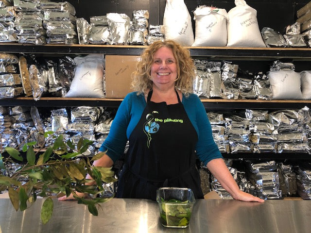 Join me for our Wellness Masterclass online. Seasonal illness and immunity kit!