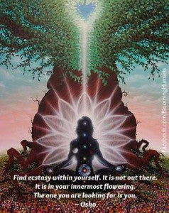 Your metamorphosis to energetic wellness