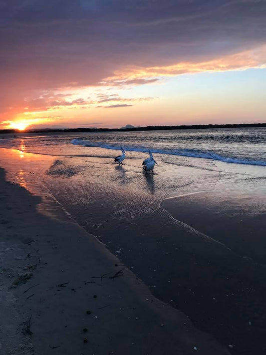 Keep your softness amongst the noise!