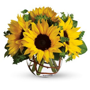 Be like the sunflower, tracking the sun....
