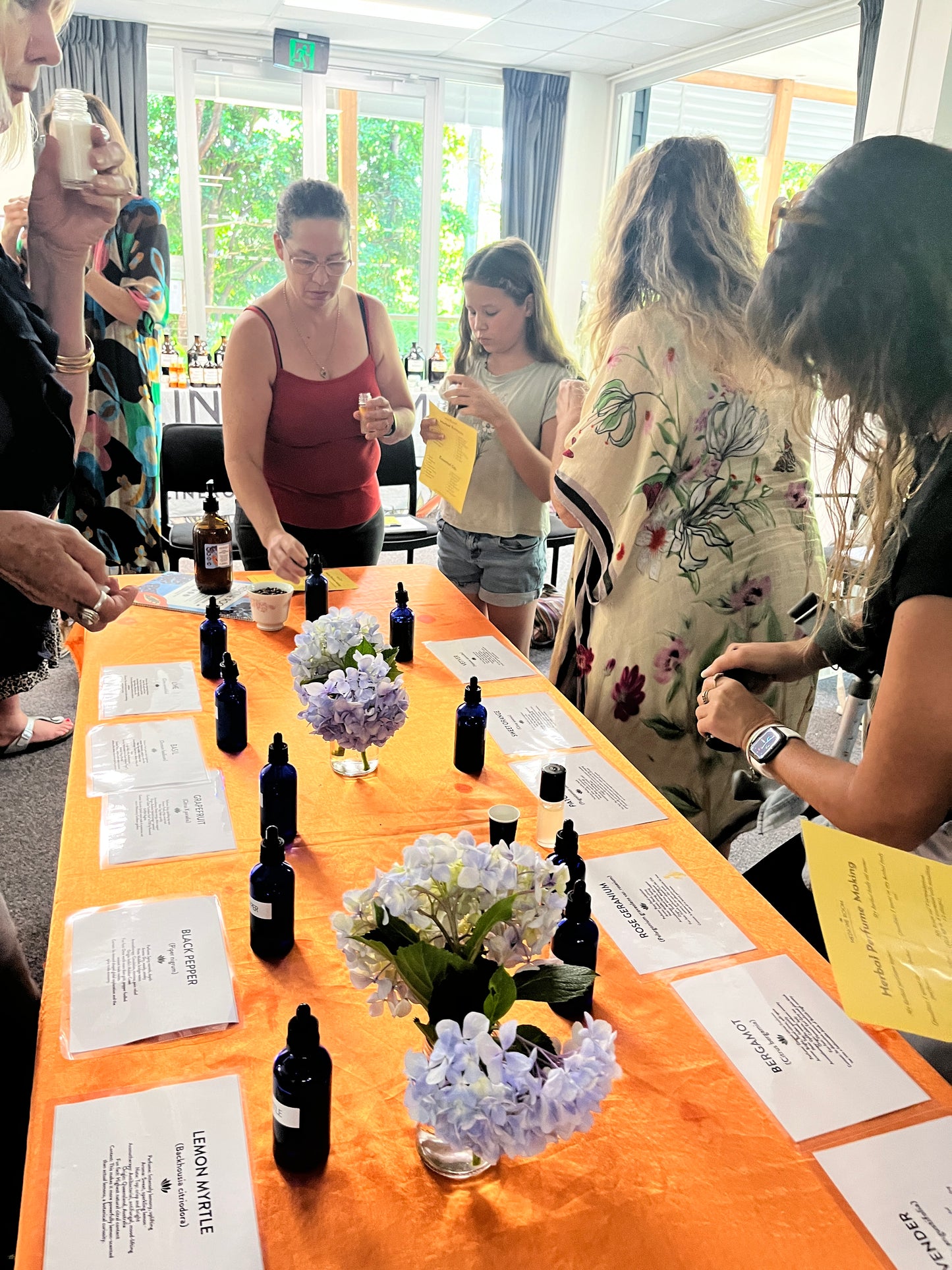 March 1st 2026. face to face course. Making Medicine for parasites and stealth pathogens at home. Maleny Community Centre 9.30am till 11.30am.