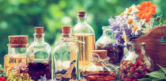 We invite you to Herbal first Aid in Ispwich/Chuwar This Sunday.
