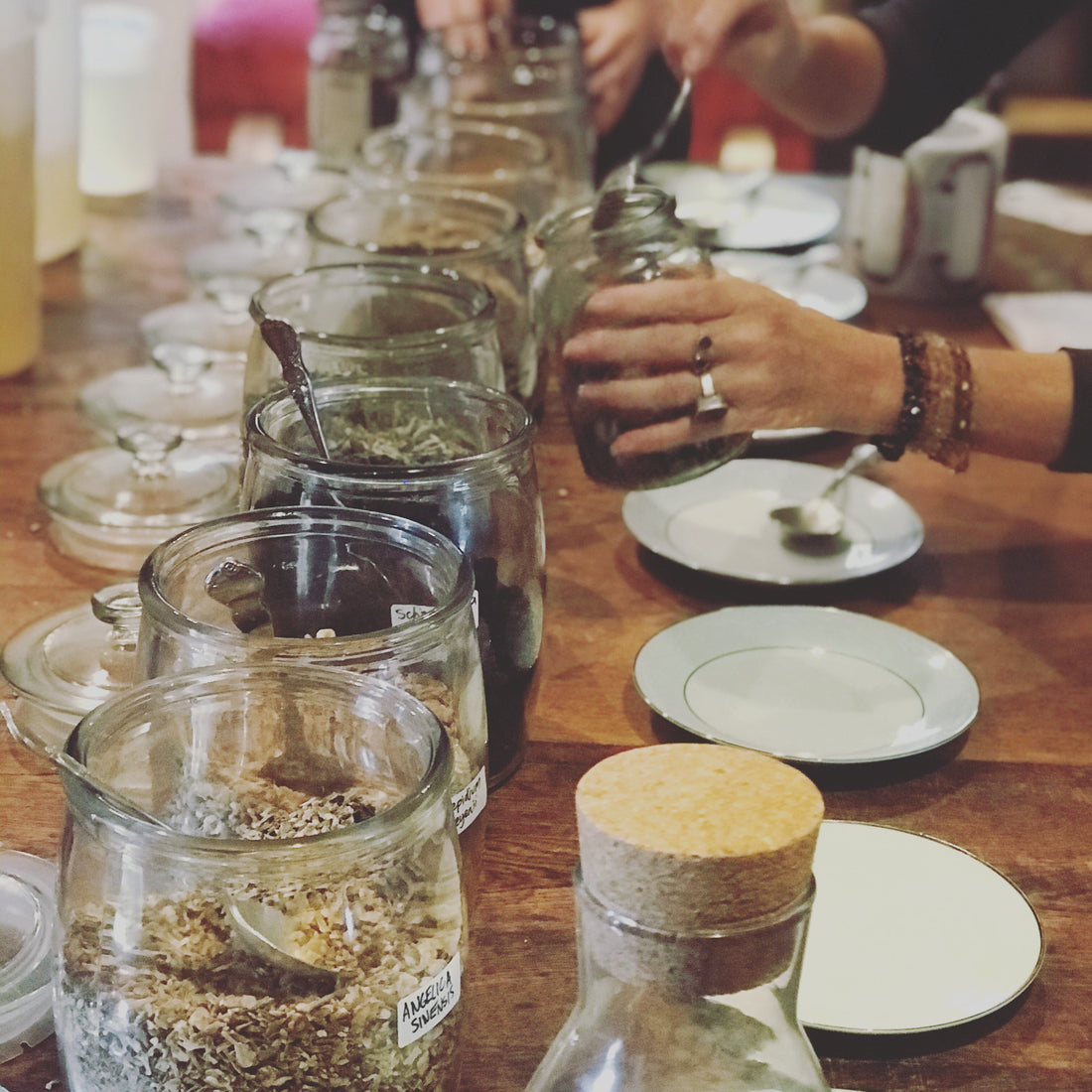 Spring into Wellness with Dominique – Three Events to Nourish Your Heart, Senses  Spirit