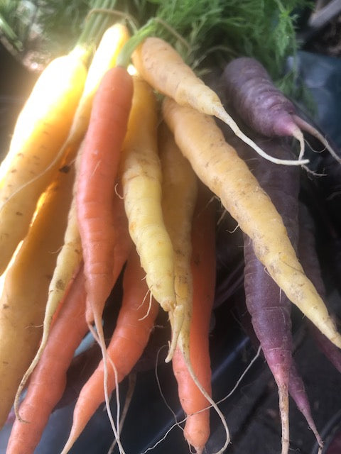 Carrots are so perfect for cleansing and nourishing your body!