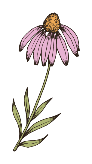 Herbal support for vaccination choices. Let us help you