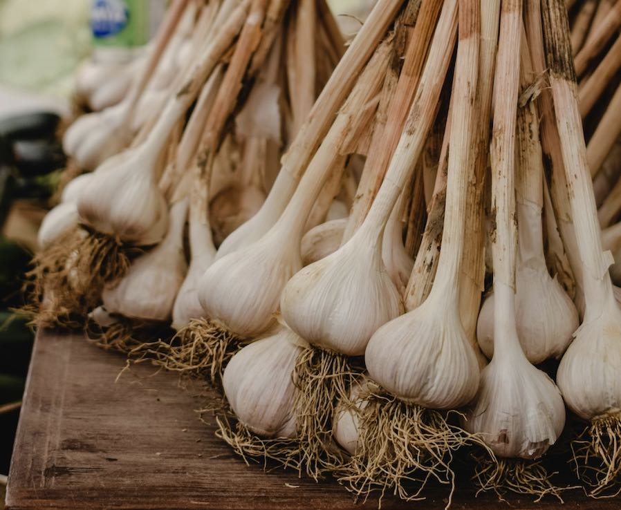 Garlic: Your Autumn Herb with Health Superpowers