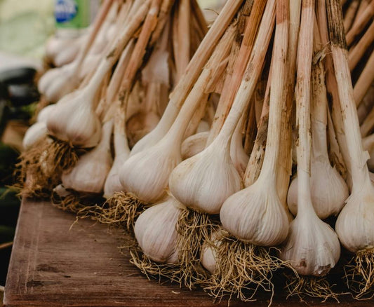 Garlic: Your Autumn Herb with Health Superpowers