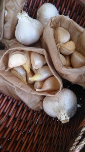Recipe for aged Garlic