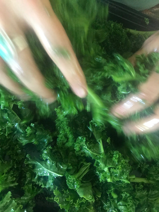 Kale chips recipe and why Kale is a super food!