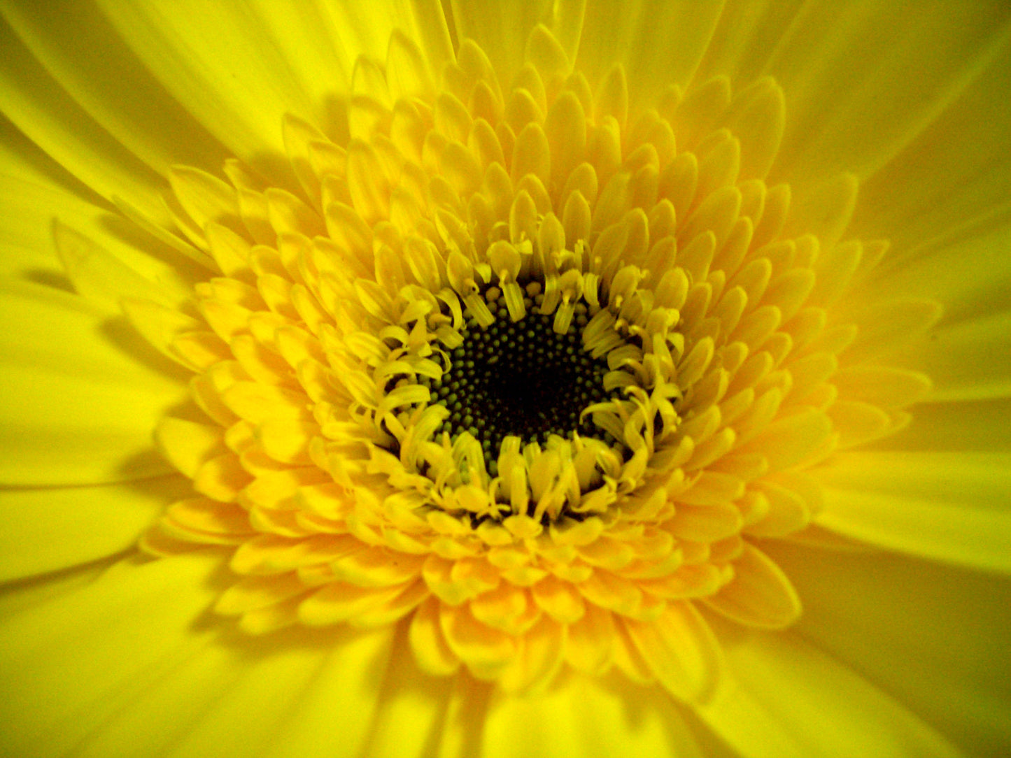 Free Webinar Your Natural Stress Reset Thursday October 15th 2026