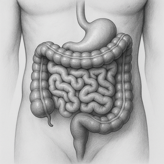 Free Webinar 2026 Parasites & Stealth Pathogens Wednesday 12th February 6.30pm