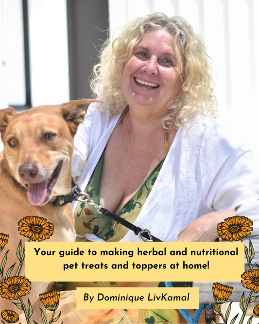 Your guide to making herbal and nutritional pet treats and meal toppers at home E-book