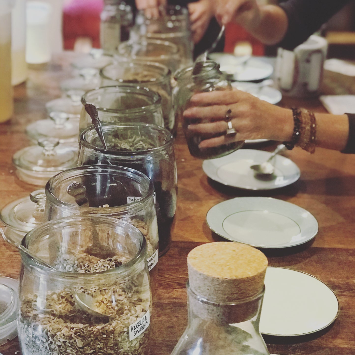 Workshop Festive herbal tea and Botanical drinks Nov 23rd 2pm to 4pm Maleny